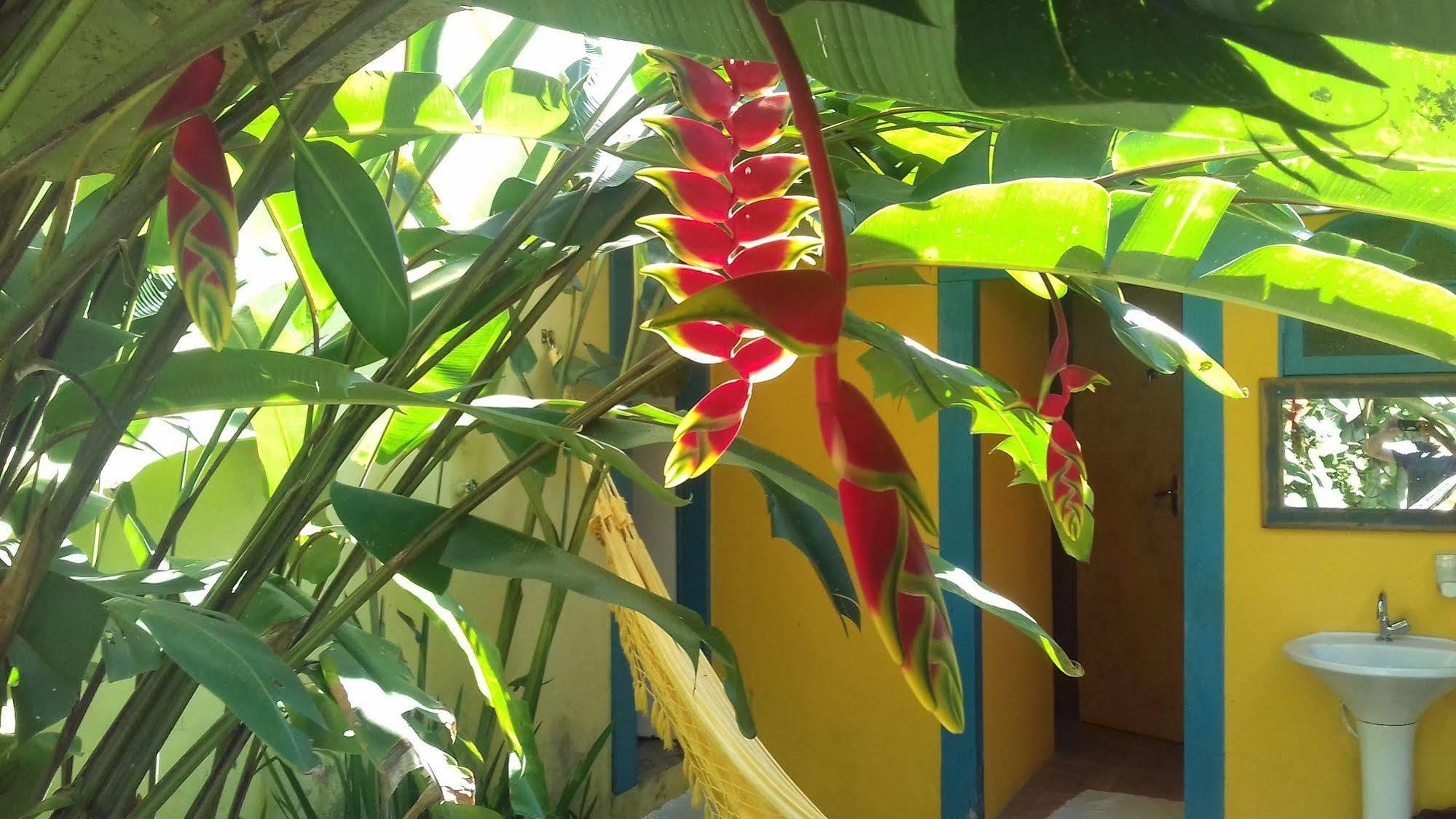 Maracuja Hostel Paraty Luaran gambar